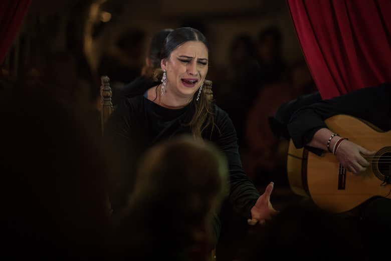 Uma cantora na Cueva Flamenca La Comino