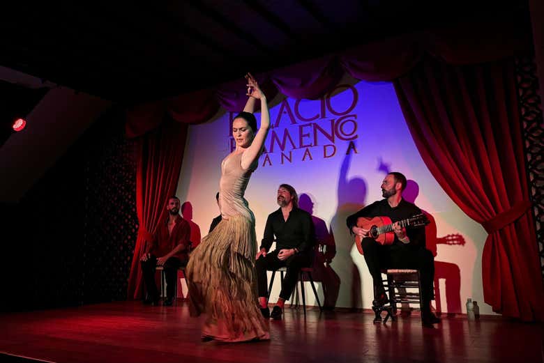 Bem-vindos a Palacio Flamenco