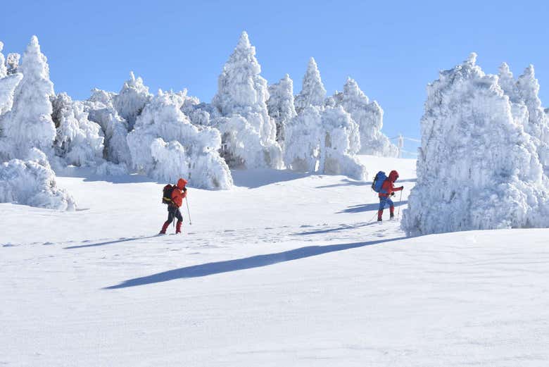 Passeio de raquetes de neve
