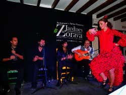 Espetáculo de flamenco