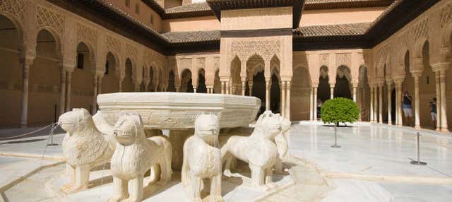 Visita guiada pela Alhambra e os Palácios Nasridas com ingressos